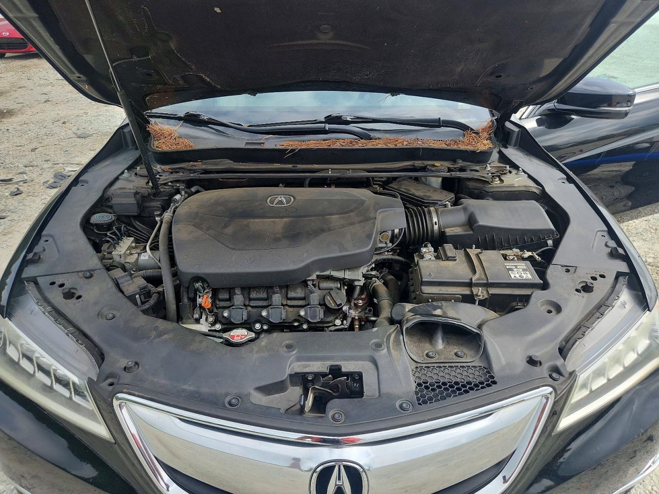 2015 Acura Tlx Черный vin: 19UUB2F39FA009406