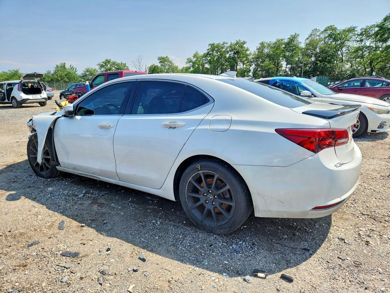 2015 Acura Tlx White vin: 19UUB2F39FA017926