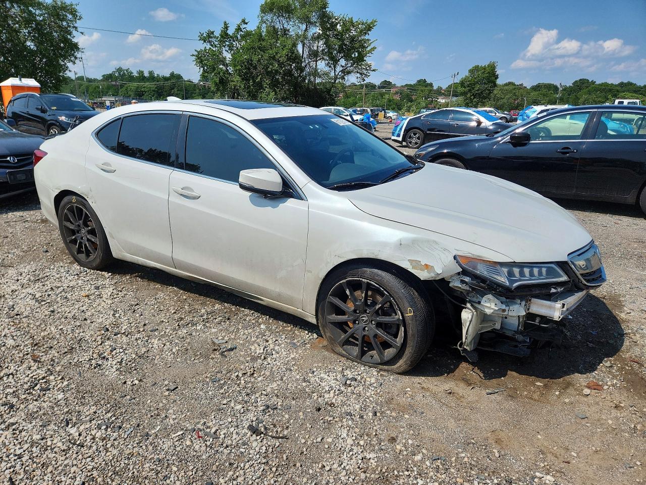 2015 Acura Tlx White vin: 19UUB2F39FA017926