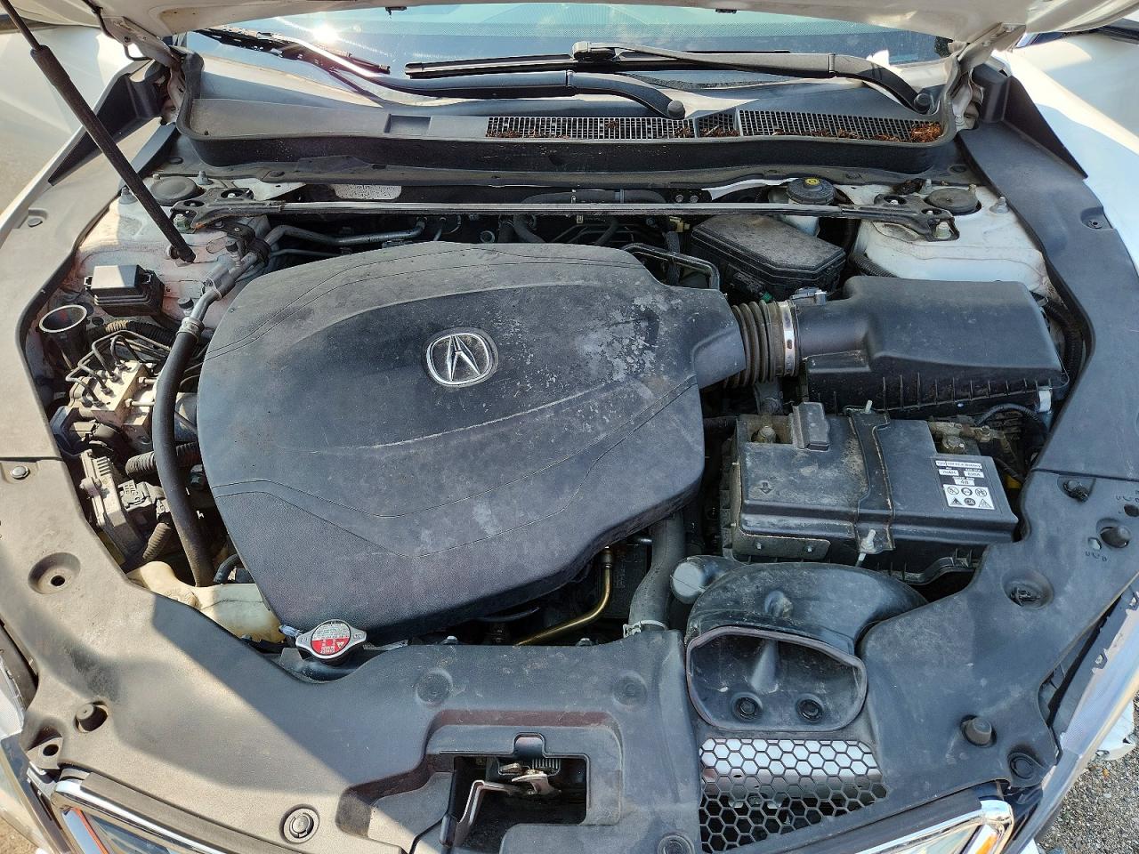 2015 Acura Tlx White vin: 19UUB2F39FA017926