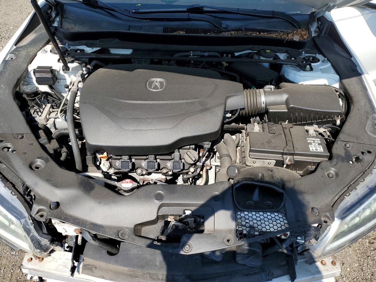 2015 Acura Tlx Tech White vin: 19UUB2F52FA007210