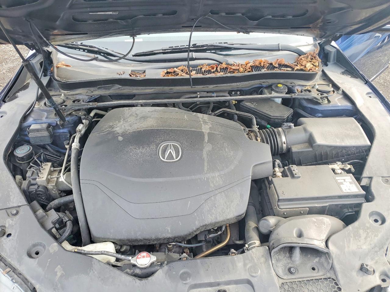 2015 Acura Tlx Tech Blue vin: 19UUB2F53FA007331
