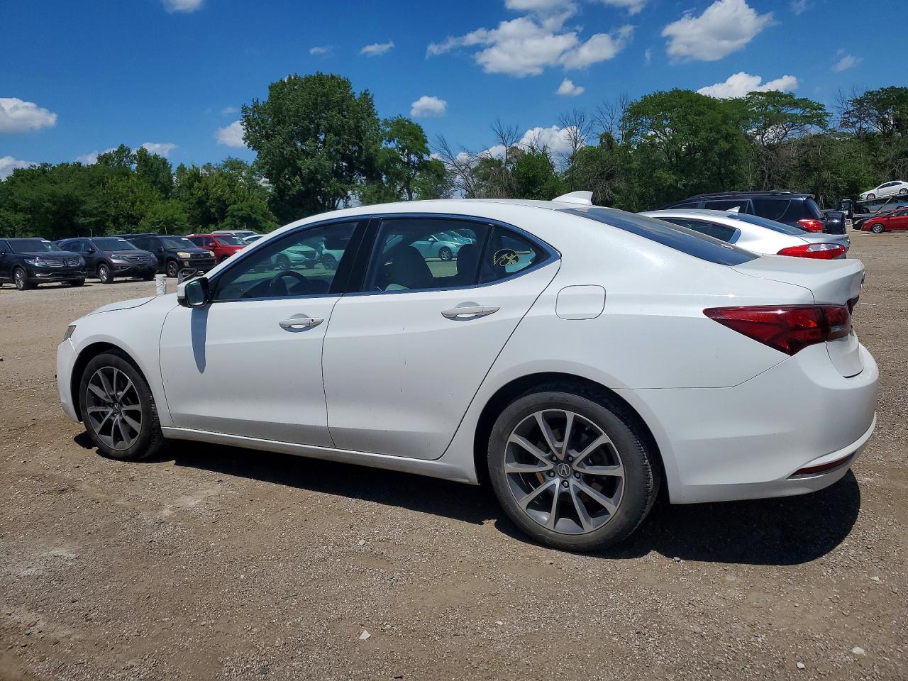 2015 Acura Tlx Tech White vin: 19UUB2F54FA007788