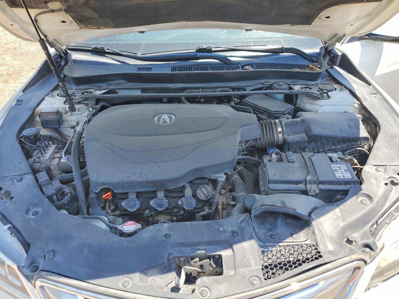 2015 Acura Tlx Tech White vin: 19UUB2F54FA007788