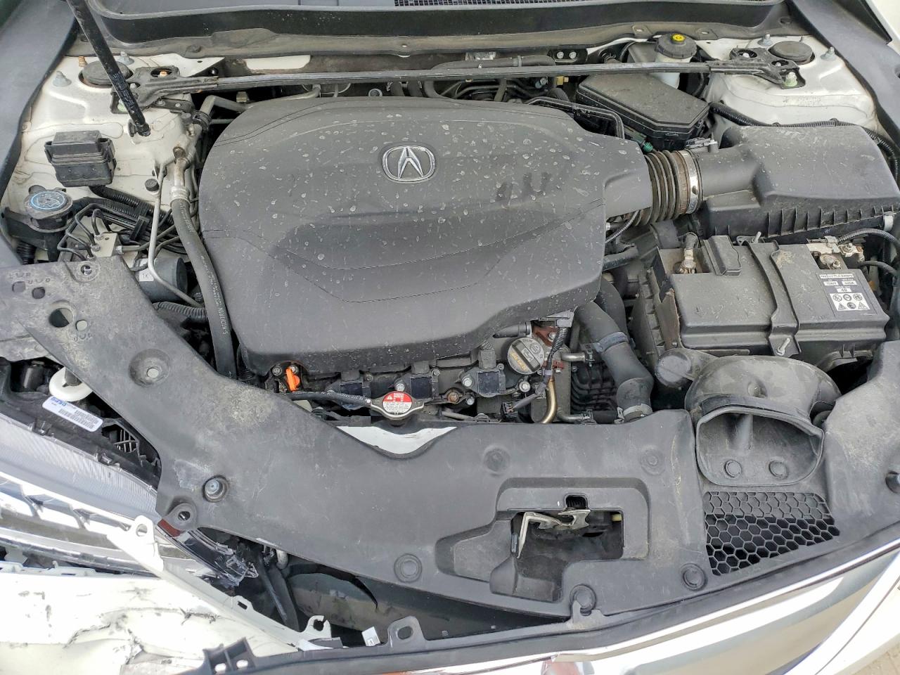 2017 Acura Tlx Tech White vin: 19UUB2F55HA004739