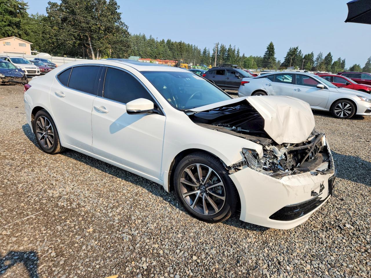2015 Acura Tlx Tech White vin: 19UUB2F56FA021305