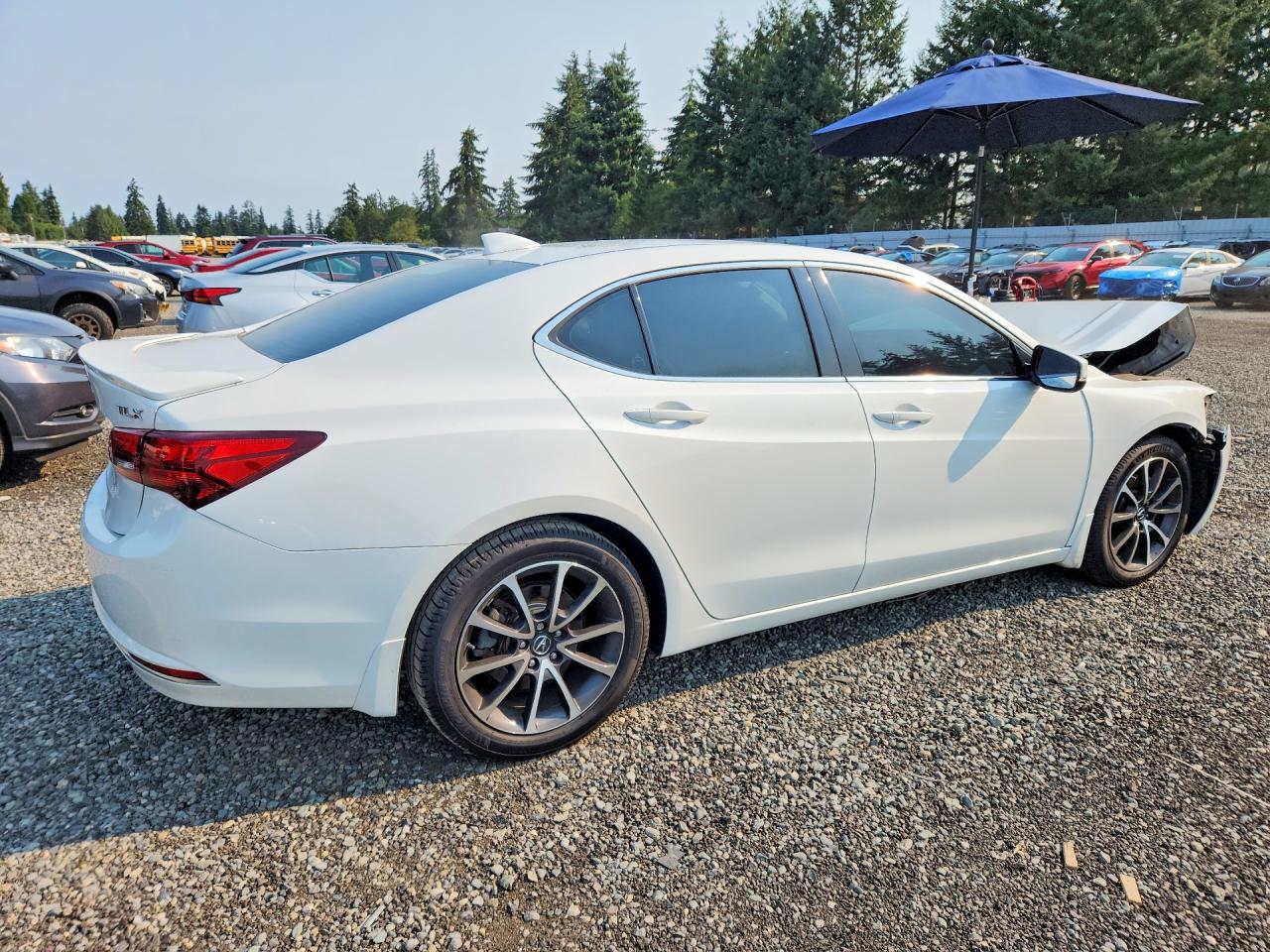 2015 Acura Tlx Tech White vin: 19UUB2F56FA021305