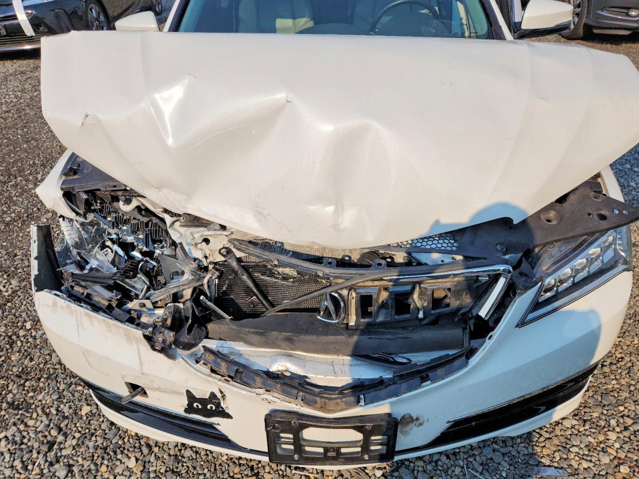 2015 Acura Tlx Tech White vin: 19UUB2F56FA021305