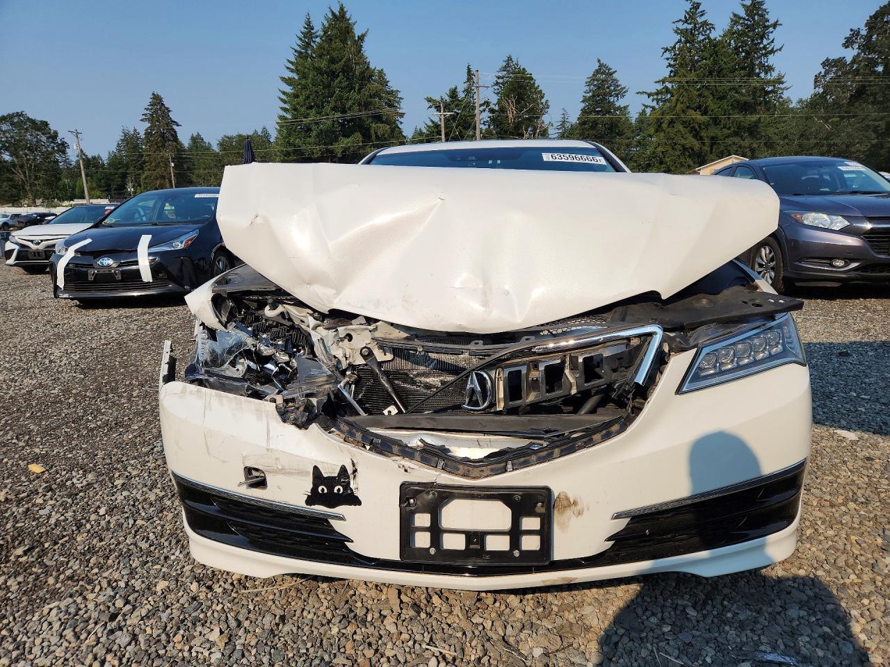 2015 Acura Tlx Tech White vin: 19UUB2F56FA021305