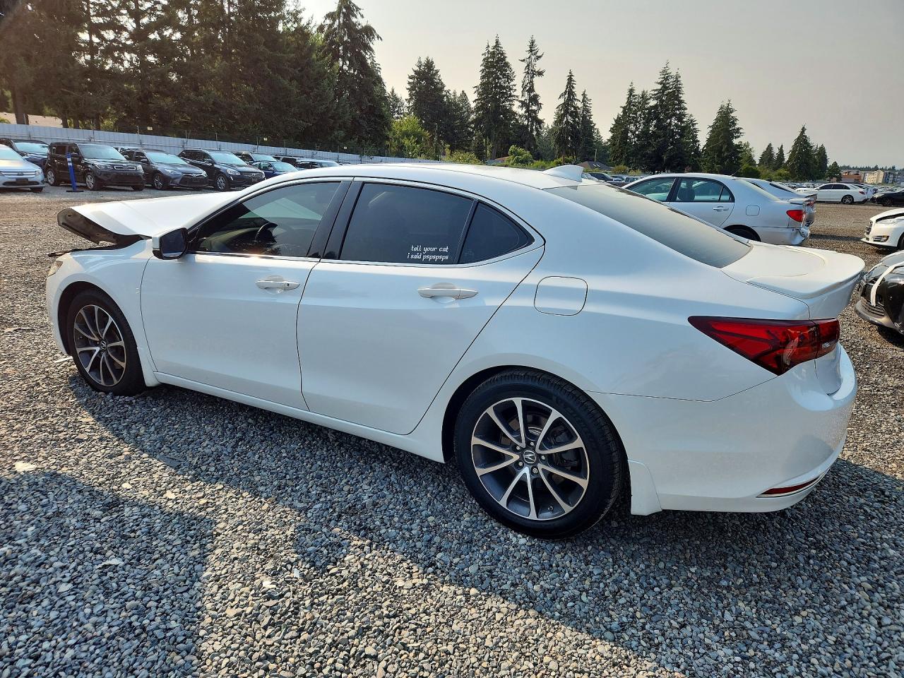 2015 Acura Tlx Tech White vin: 19UUB2F56FA021305