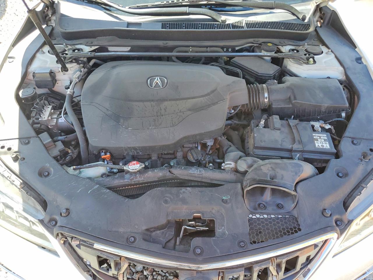 2015 Acura Tlx Tech White vin: 19UUB2F57FA018588