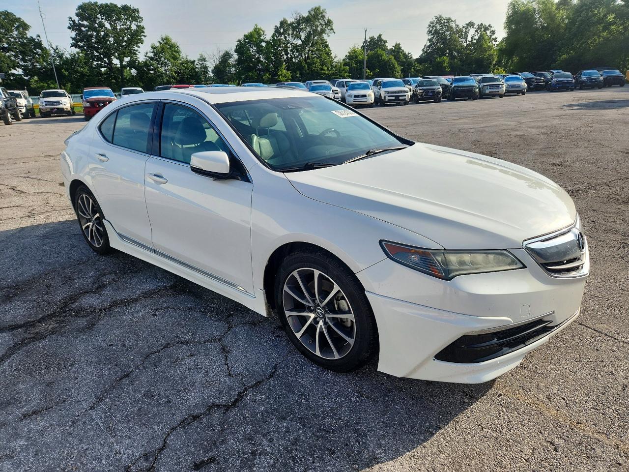 2015 Acura Tlx Tech White vin: 19UUB2F58FA001055