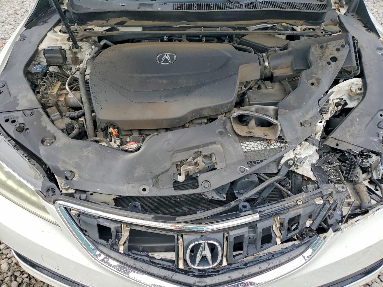 2015 Acura Tlx Tech White vin: 19UUB2F58FA018681