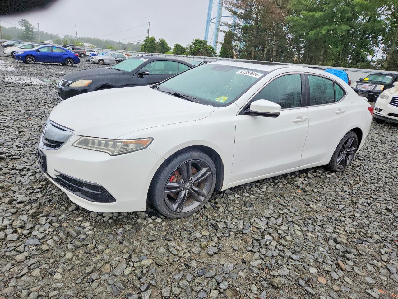 2015 Acura Tlx Tech White vin: 19UUB2F58FA022956