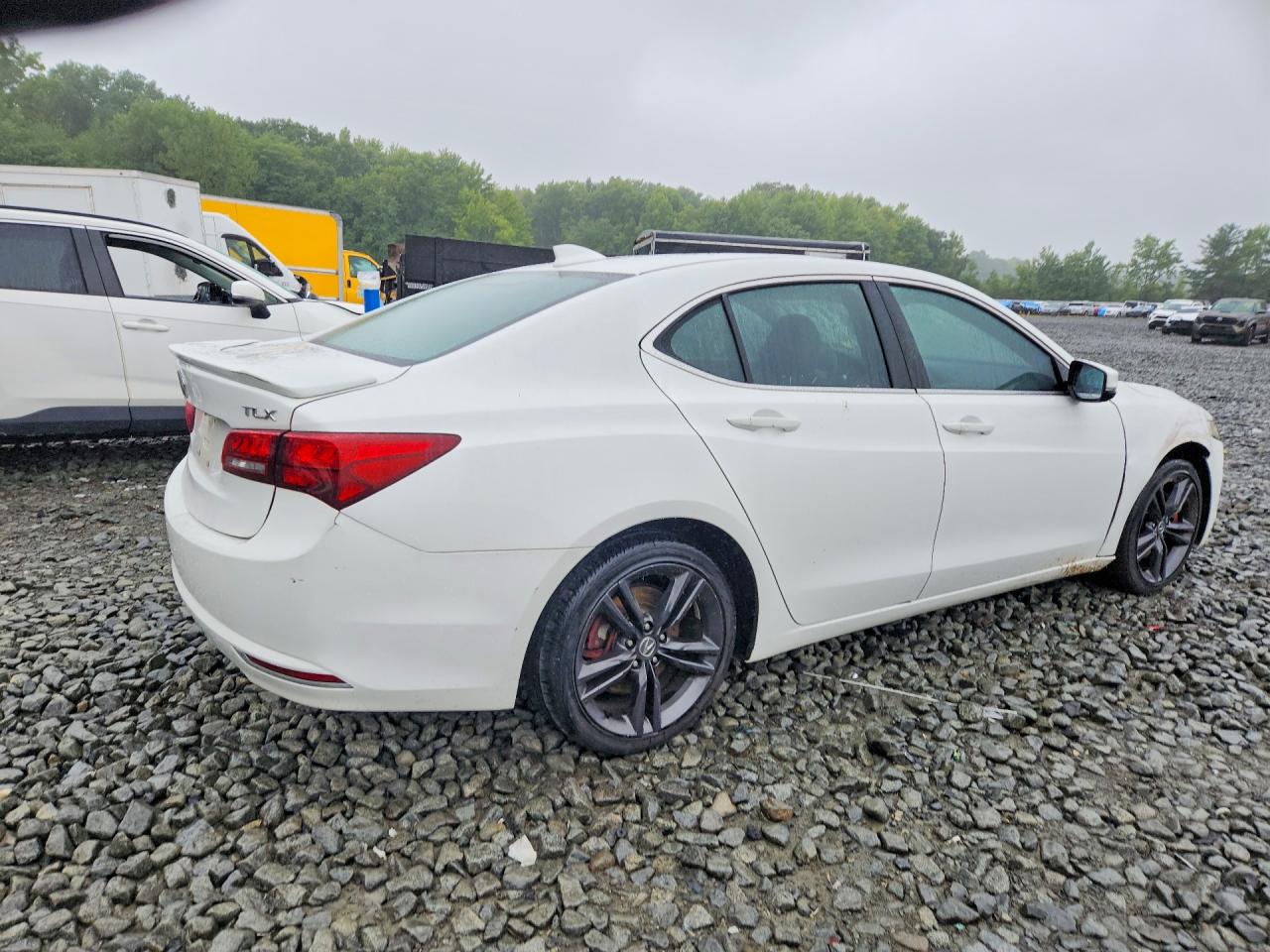 2015 Acura Tlx Tech White vin: 19UUB2F58FA022956