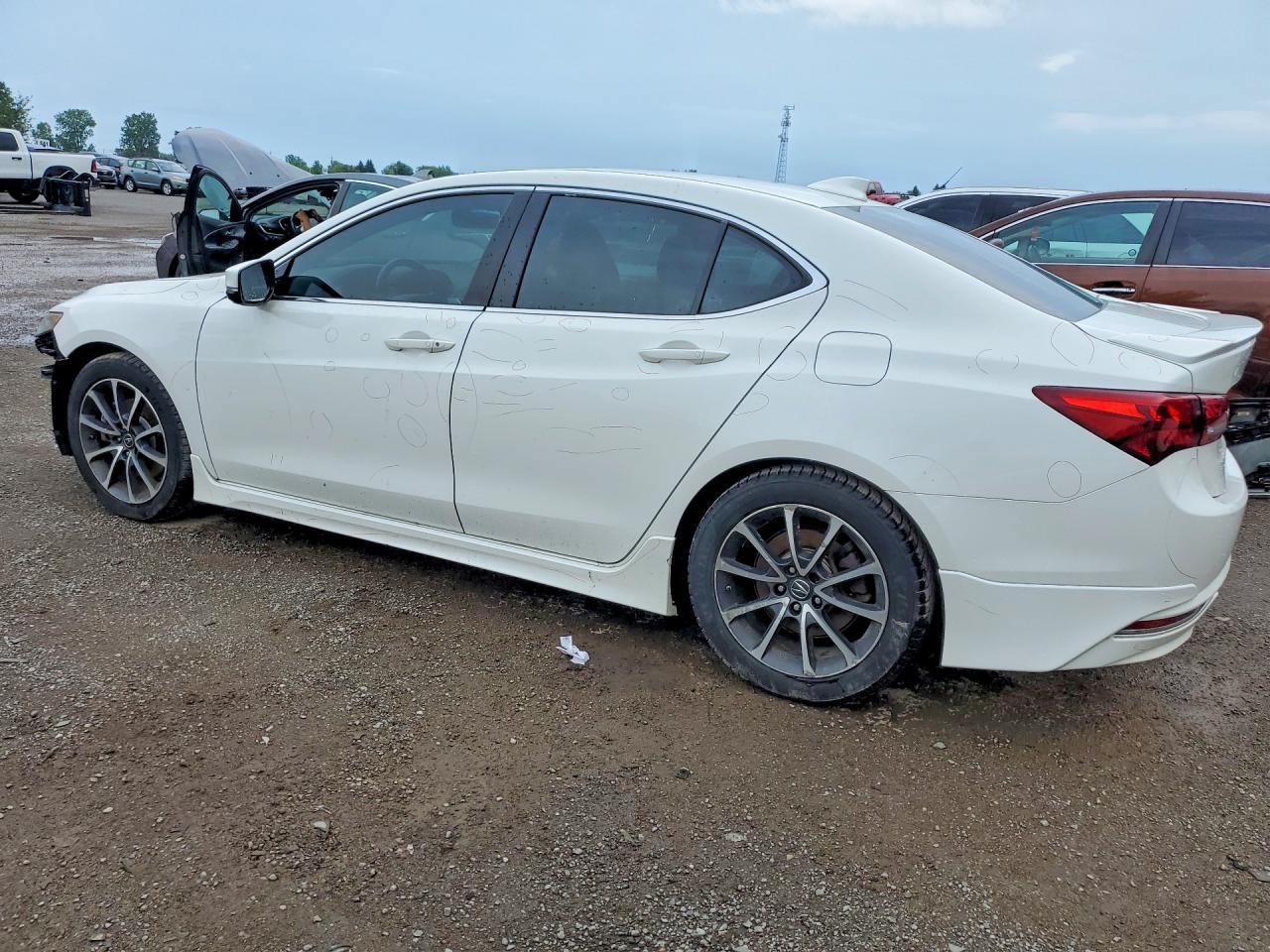 2015 Acura Tlx Tech White vin: 19UUB2F58FA800334