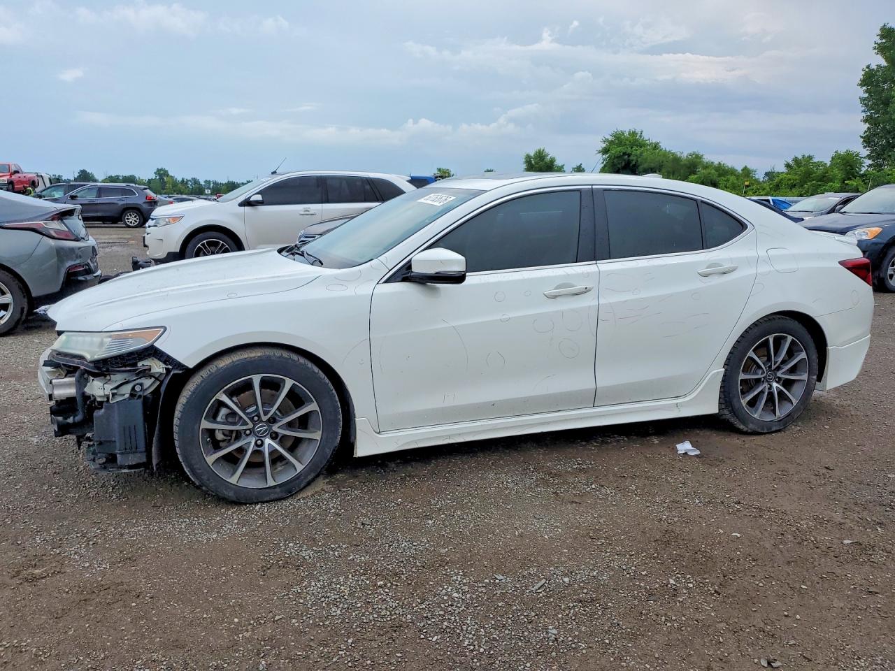 2015 Acura Tlx Tech White vin: 19UUB2F58FA800334