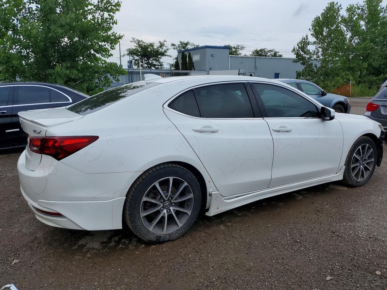 2015 Acura Tlx Tech White vin: 19UUB2F58FA800334