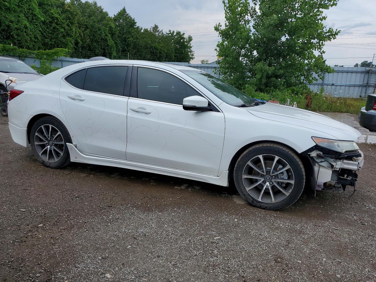 2015 Acura Tlx Tech White vin: 19UUB2F58FA800334