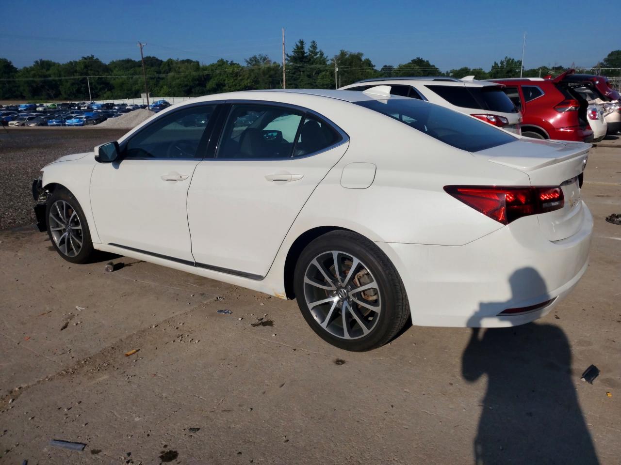 2015 Acura Tlx Tech Белый vin: 19UUB2F59FA008287
