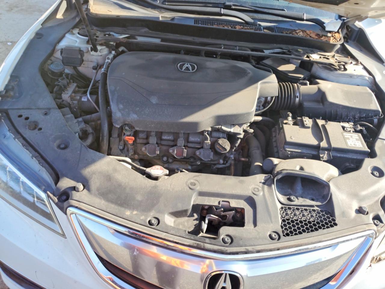 2015 Acura Tlx Tech Белый vin: 19UUB2F59FA008287