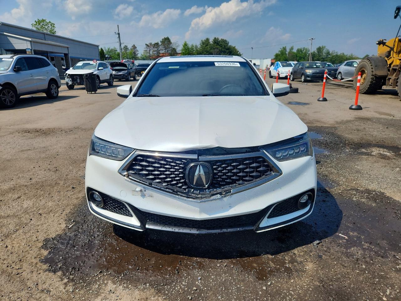 2019 Acura Tlx Technology Белый vin: 19UUB2F64KA002917