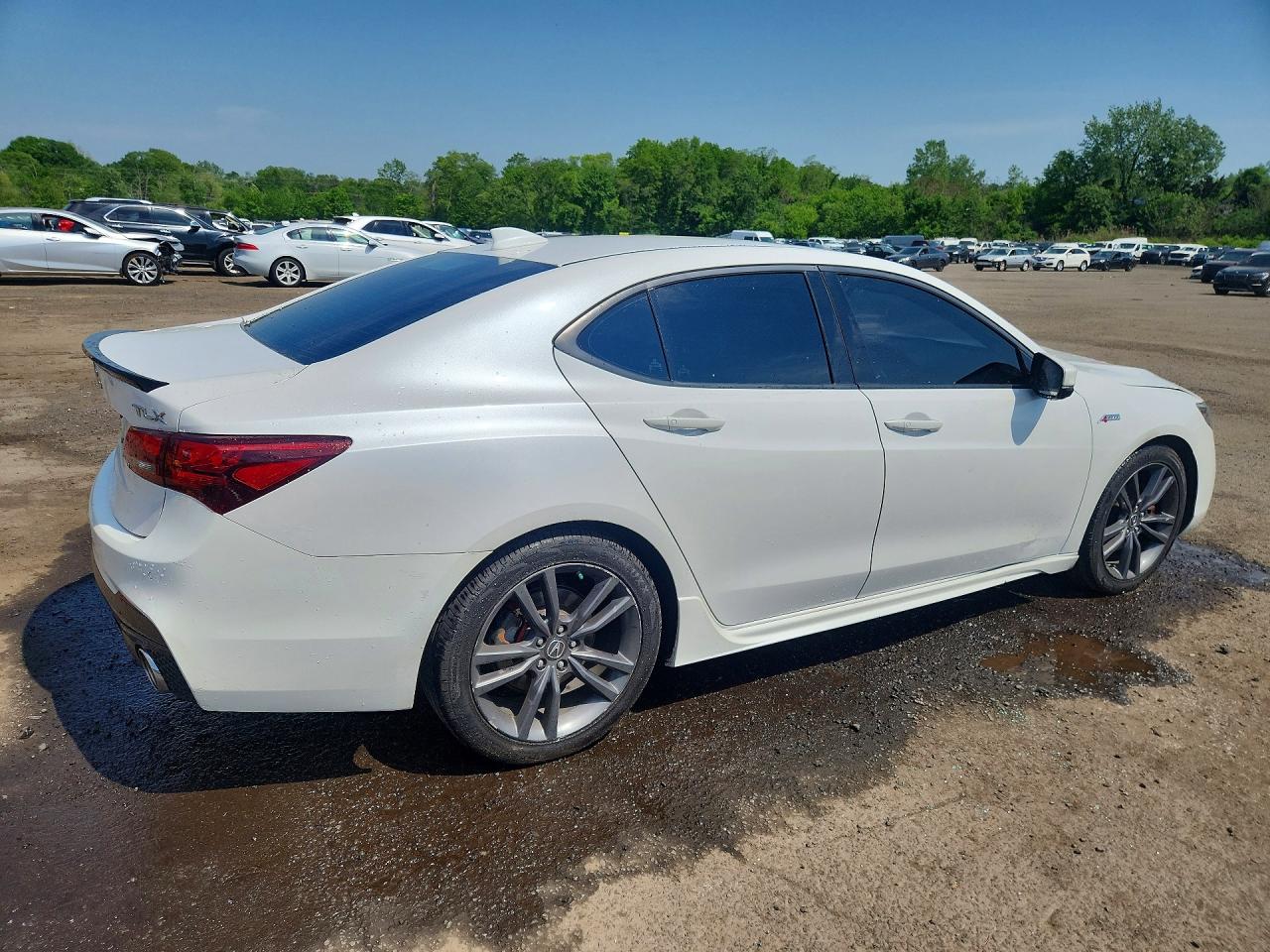 2019 Acura Tlx Technology Белый vin: 19UUB2F64KA002917