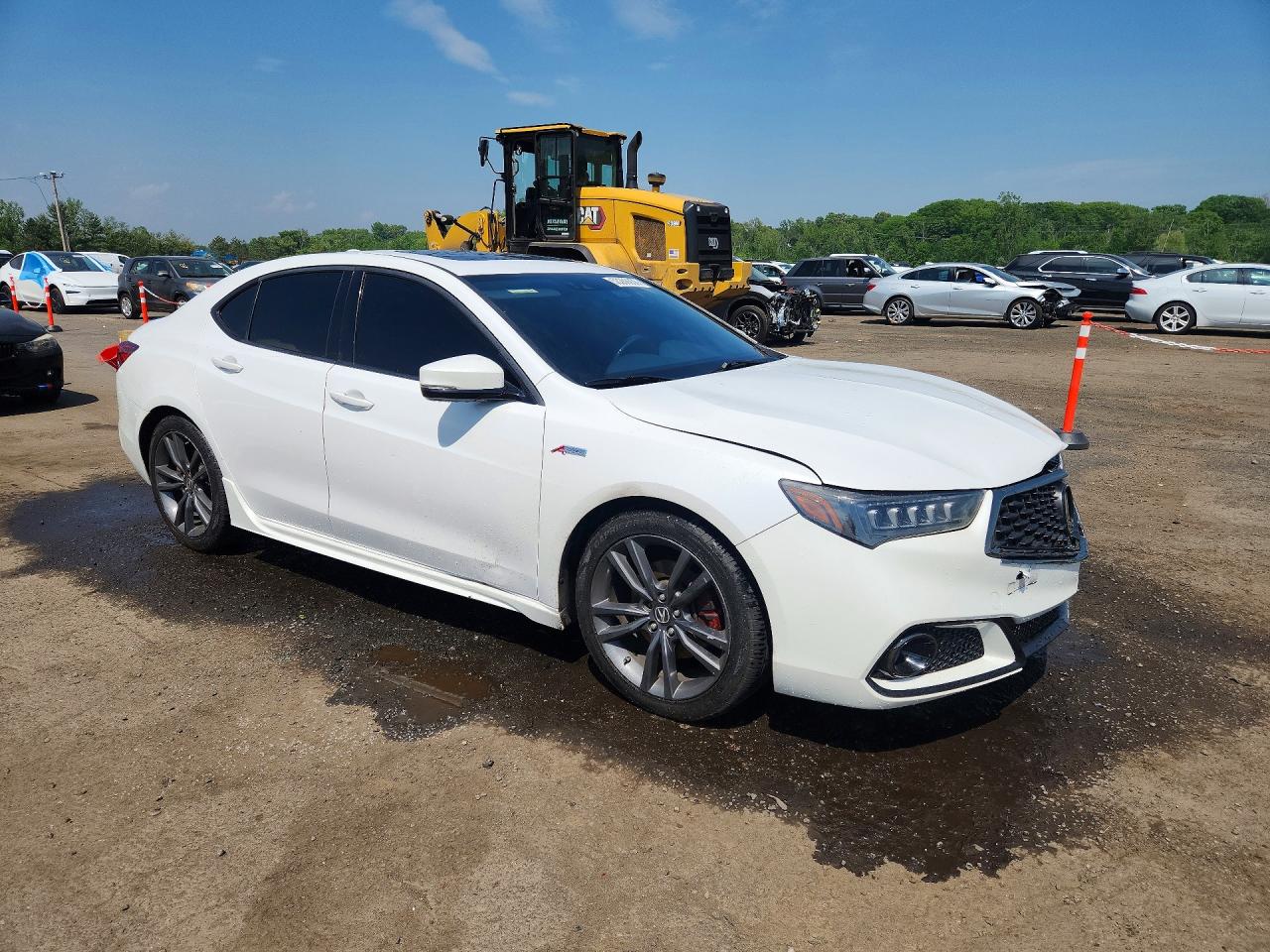 2019 Acura Tlx Technology Белый vin: 19UUB2F64KA002917