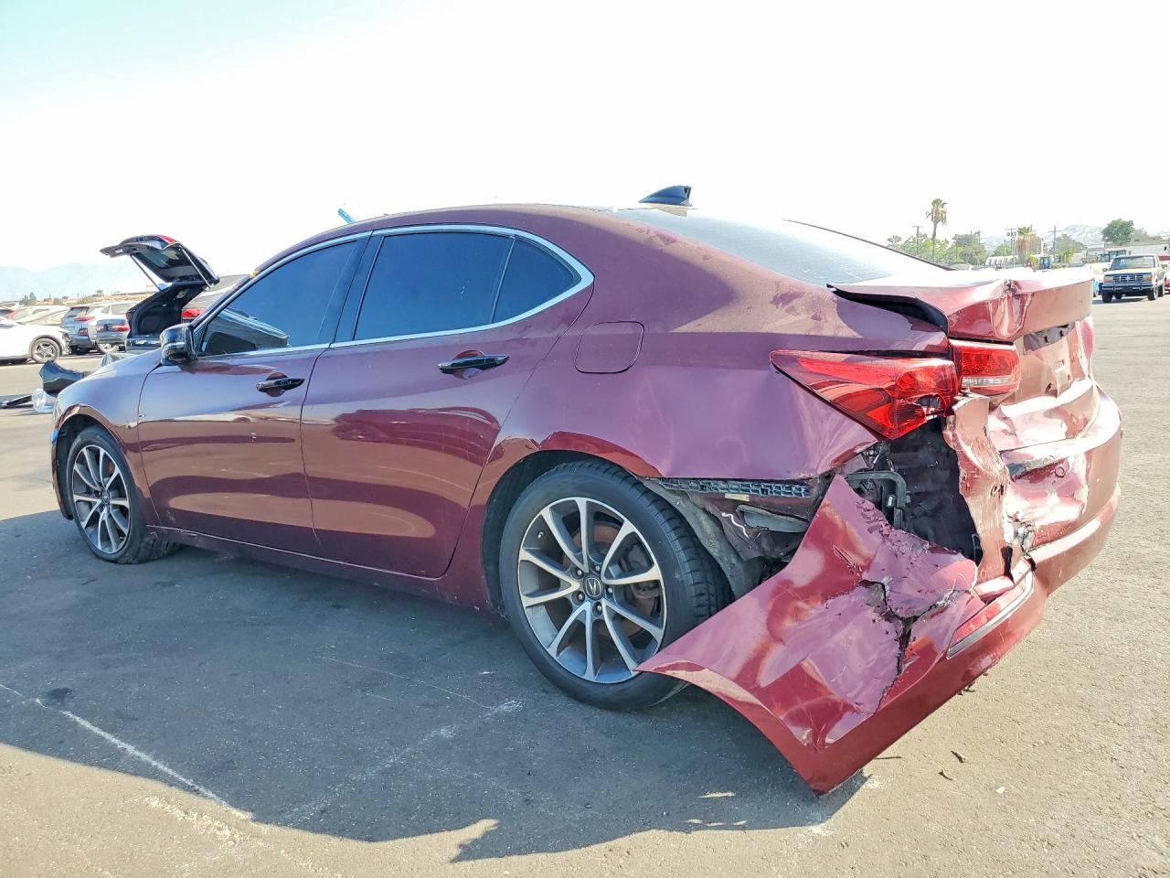 2015 Acura Tlx Advance Burgundy vin: 19UUB2F72FA019892