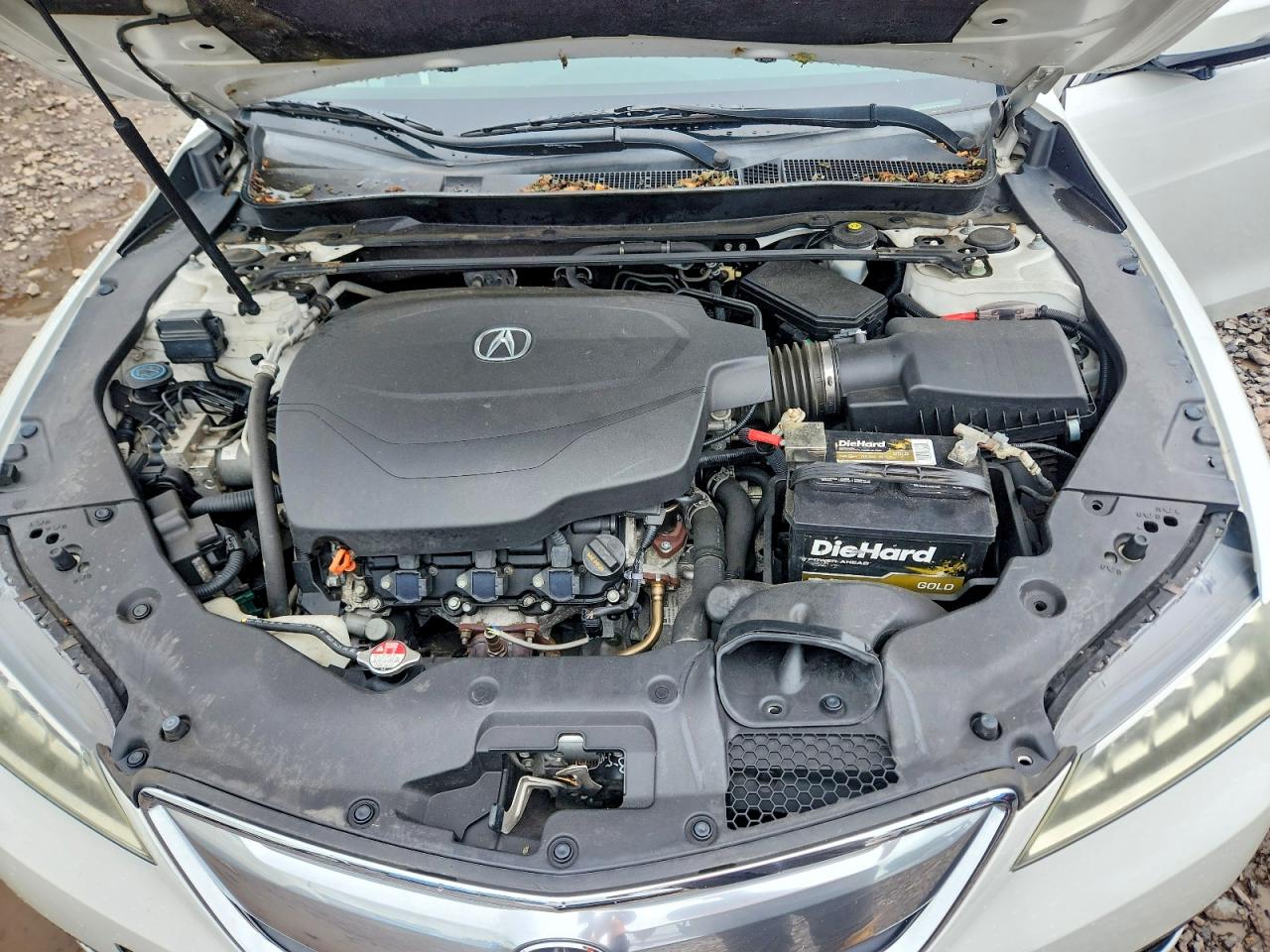 2015 Acura Tlx Tech White vin: 19UUB3F50FA006496