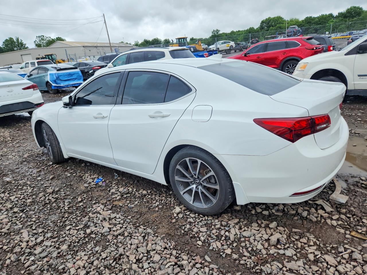 2015 Acura Tlx Tech White vin: 19UUB3F50FA006496