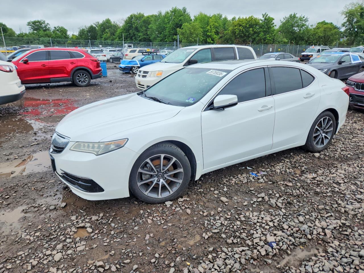 2015 Acura Tlx Tech White vin: 19UUB3F50FA006496