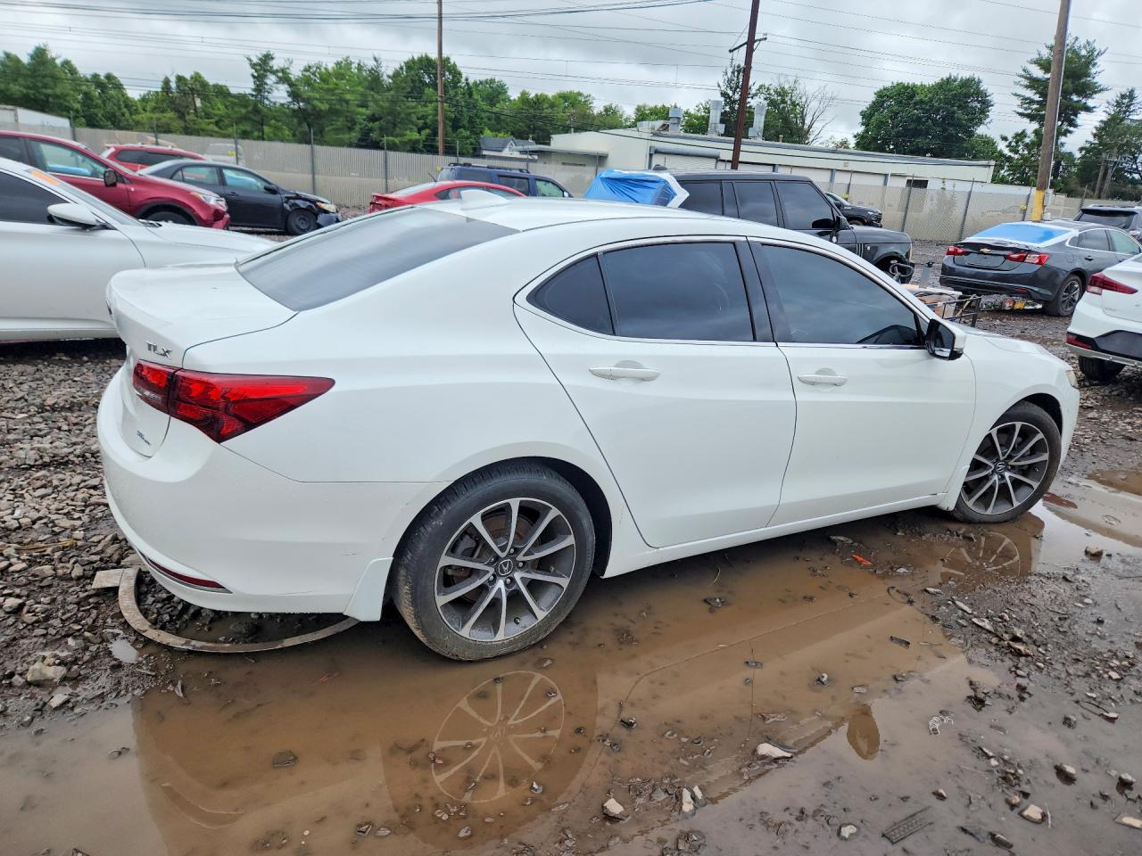 2015 Acura Tlx Tech White vin: 19UUB3F50FA006496