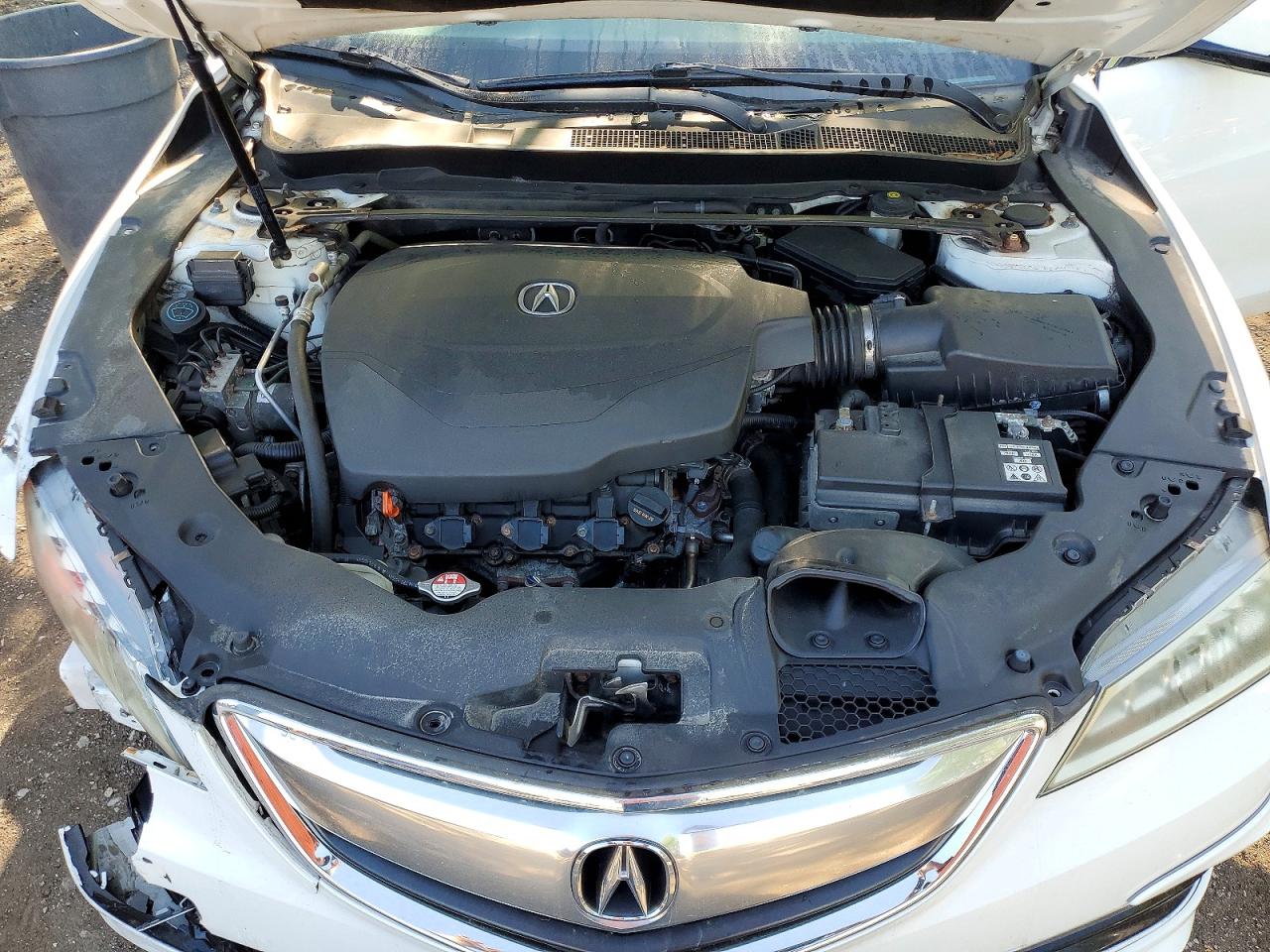 2015 Acura Tlx Tech Белый vin: 19UUB3F50FA804027