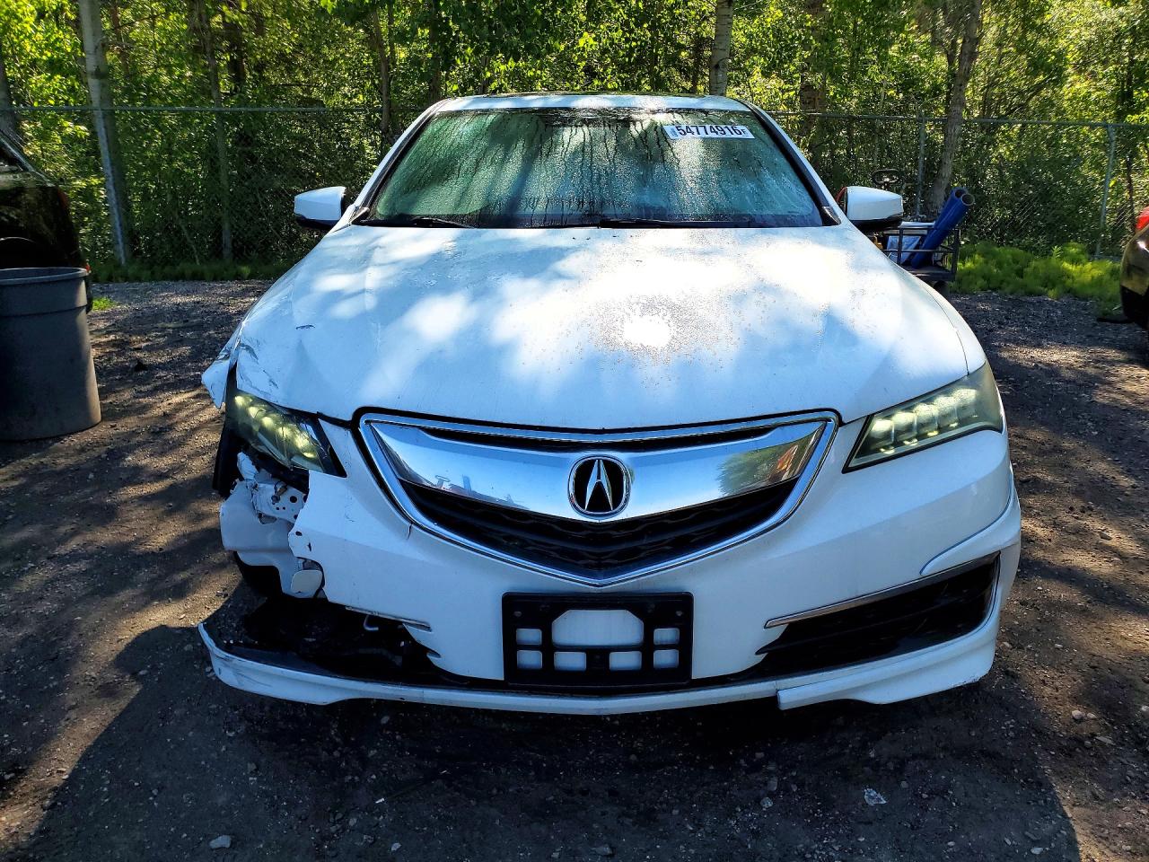 2015 Acura Tlx Tech Белый vin: 19UUB3F50FA804027