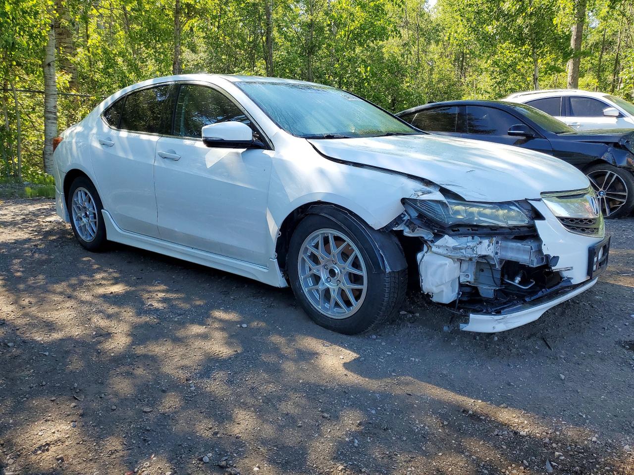 2015 Acura Tlx Tech Белый vin: 19UUB3F50FA804027