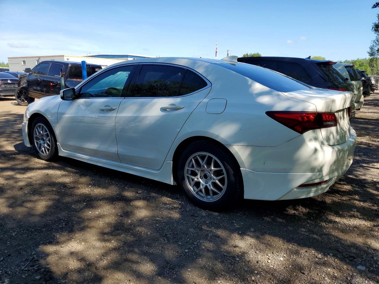 2015 Acura Tlx Tech Белый vin: 19UUB3F50FA804027