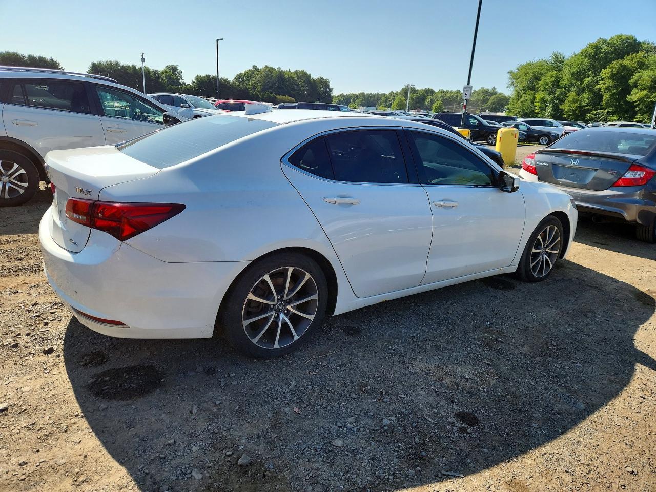 2015 Acura Tlx Tech White vin: 19UUB3F54FA000913