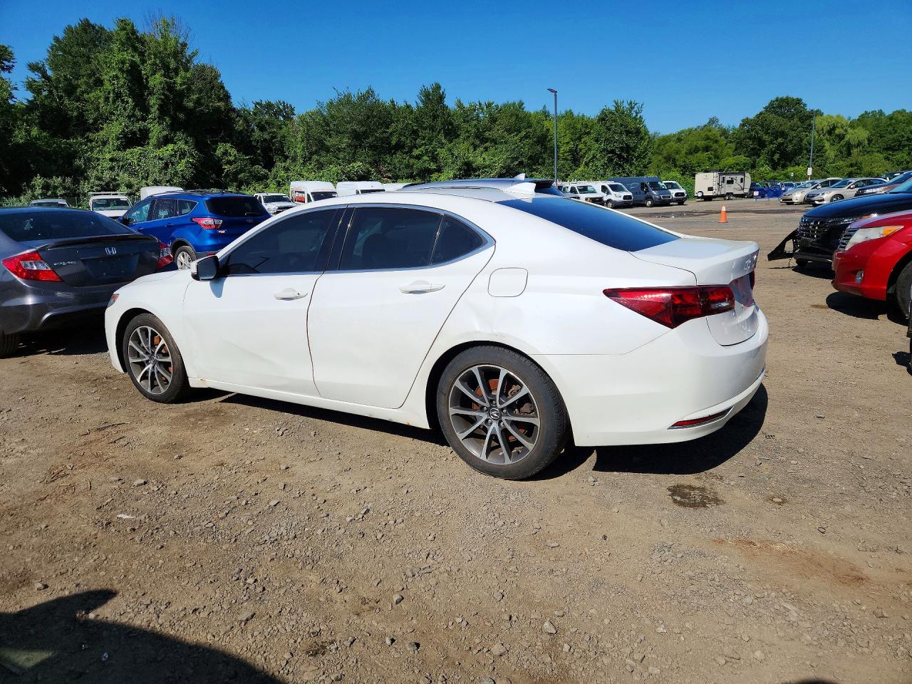 2015 Acura Tlx Tech White vin: 19UUB3F54FA000913