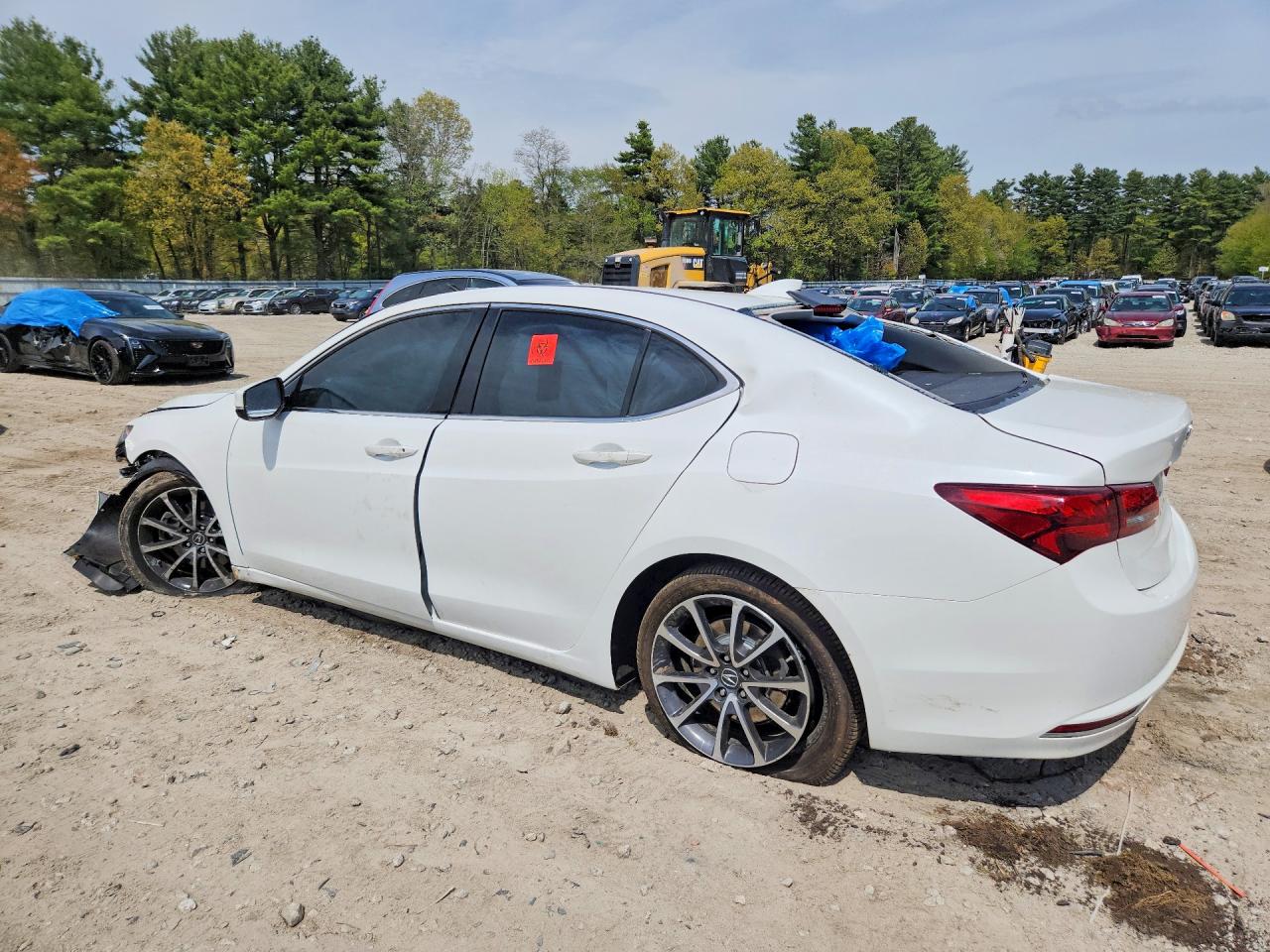 2015 Acura Tlx Tech White vin: 19UUB3F54FA010132