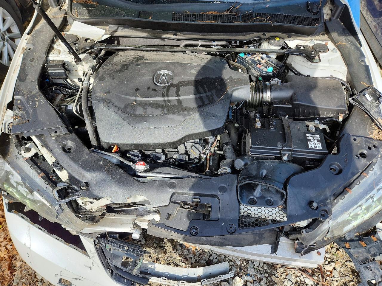 2015 Acura Tlx Tech White vin: 19UUB3F54FA010132