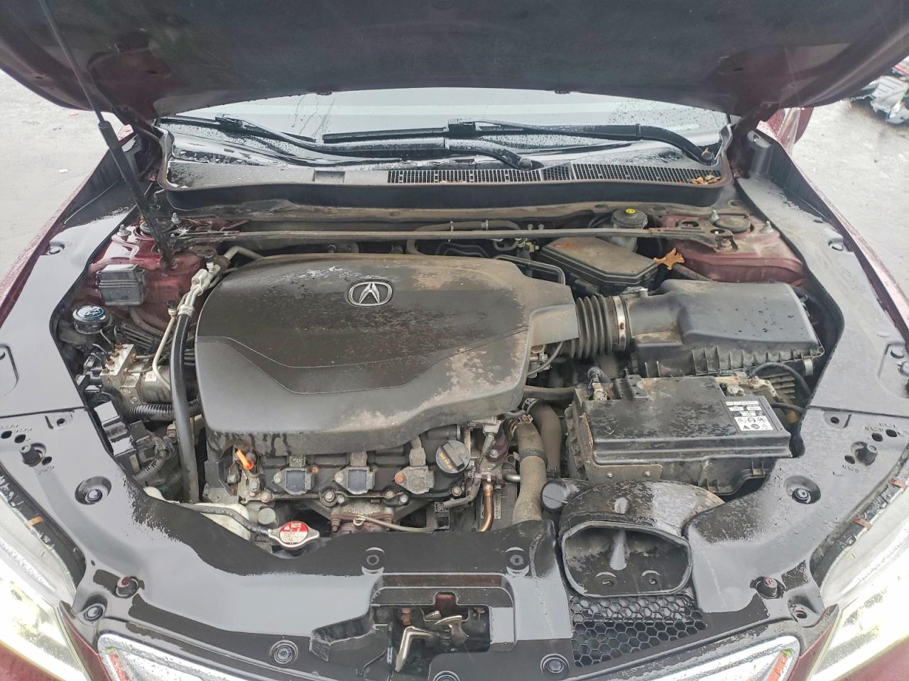 2015 Acura Tlx Tech Maroon vin: 19UUB3F57FA010240