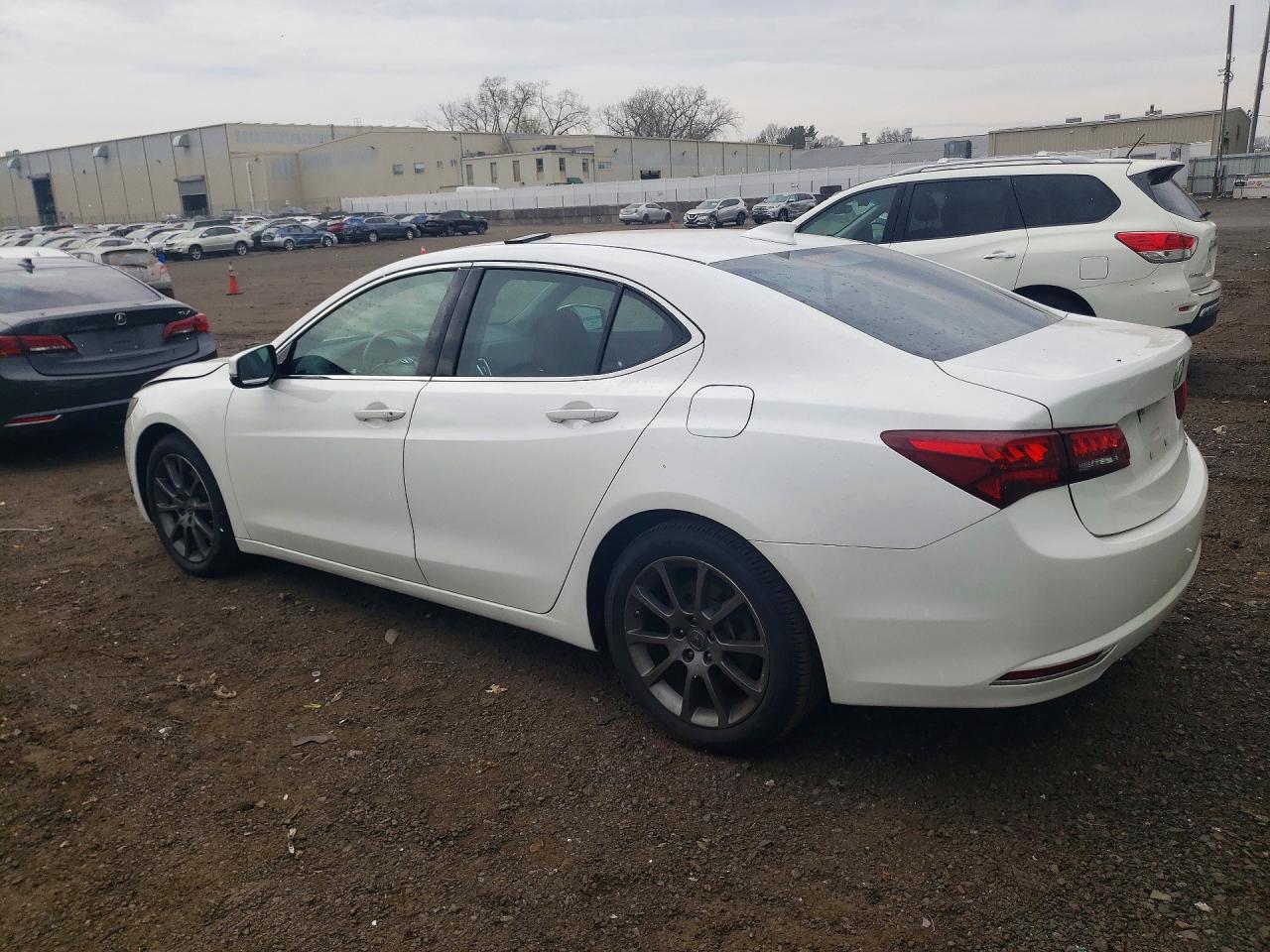 2016 Acura Tlx Tech Белый vin: 19UUB3F59GA001069