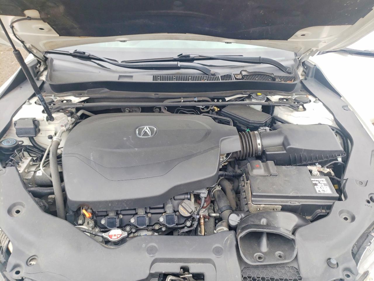 2016 Acura Tlx Tech Белый vin: 19UUB3F59GA001069