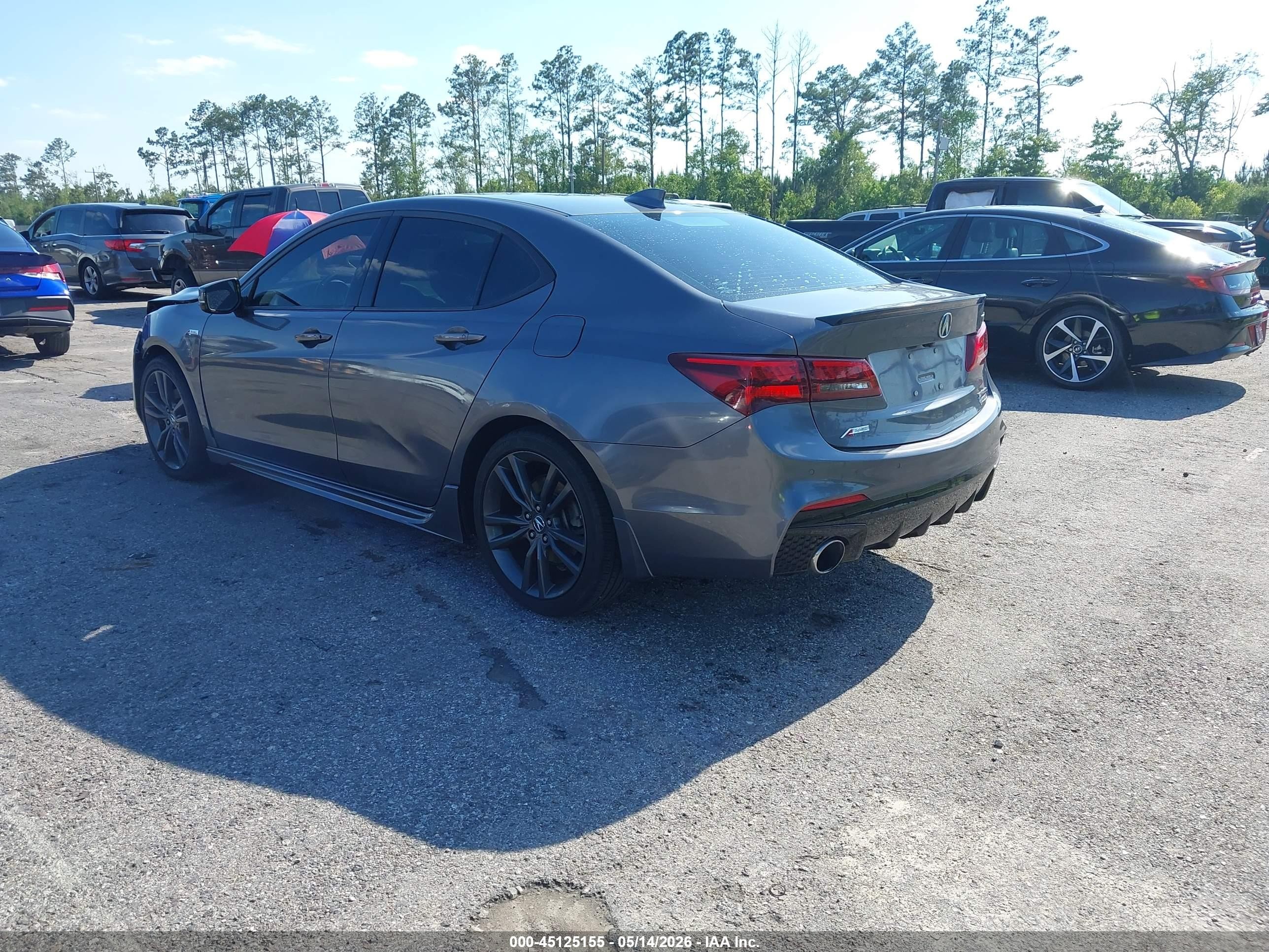 2019 Acura Tlx Tech   A-spec Pkgs Gray vin: 19UUB3F66KA000303