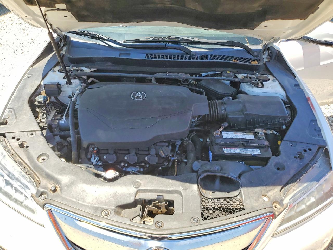 2016 Acura Tlx Advance Белый vin: 19UUB3F74GA003765