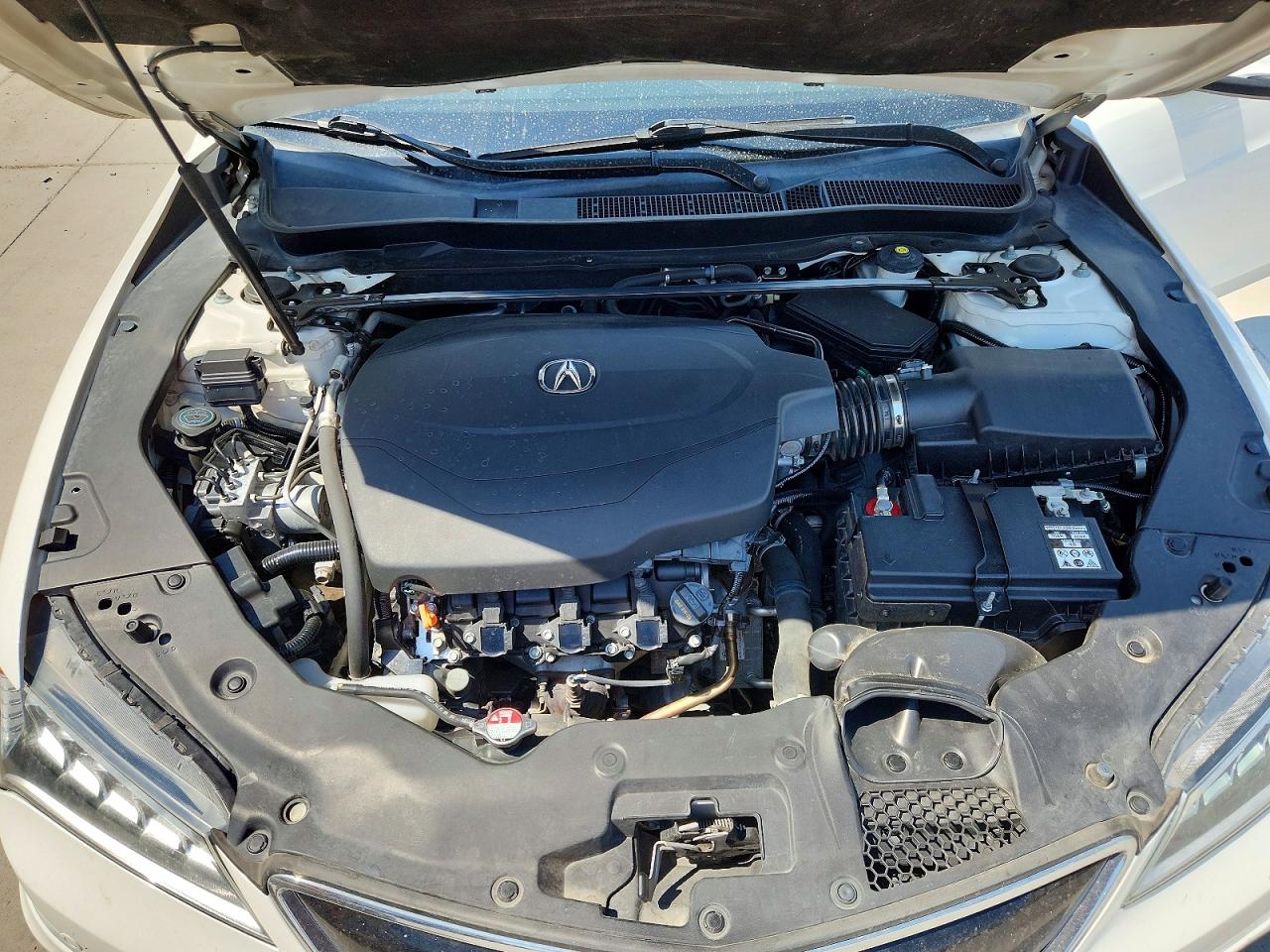 2015 Acura Tlx Advance White vin: 19UUB3F77FA003001