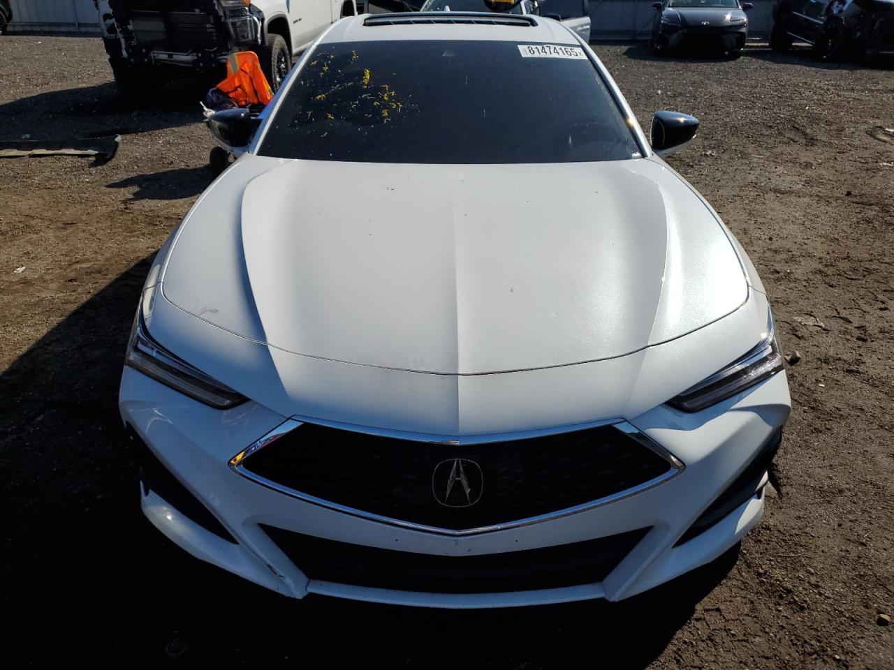 2021 Acura Tlx Technology Белый vin: 19UUB5F40MA002982