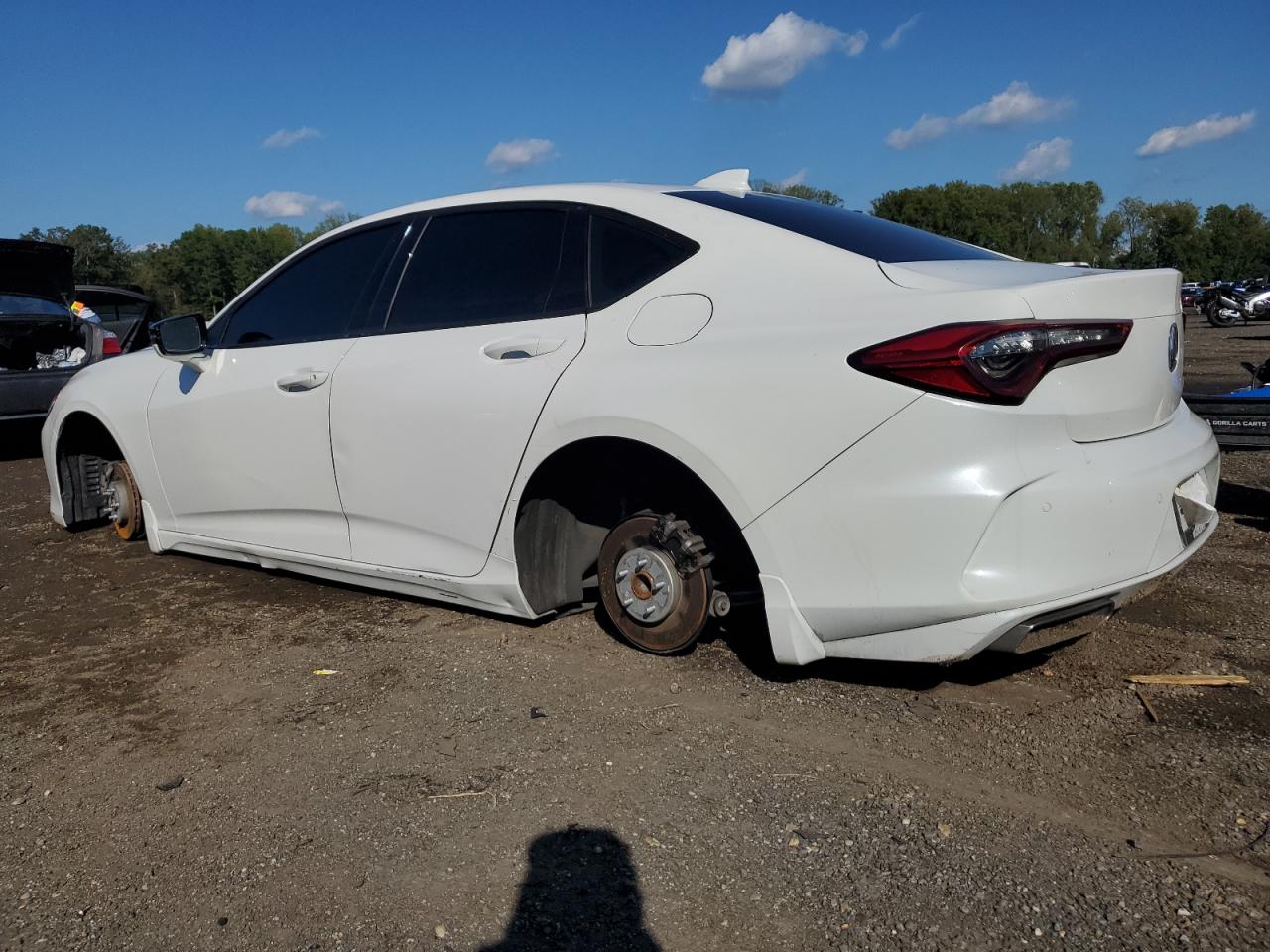 2021 Acura Tlx Technology Белый vin: 19UUB5F40MA002982