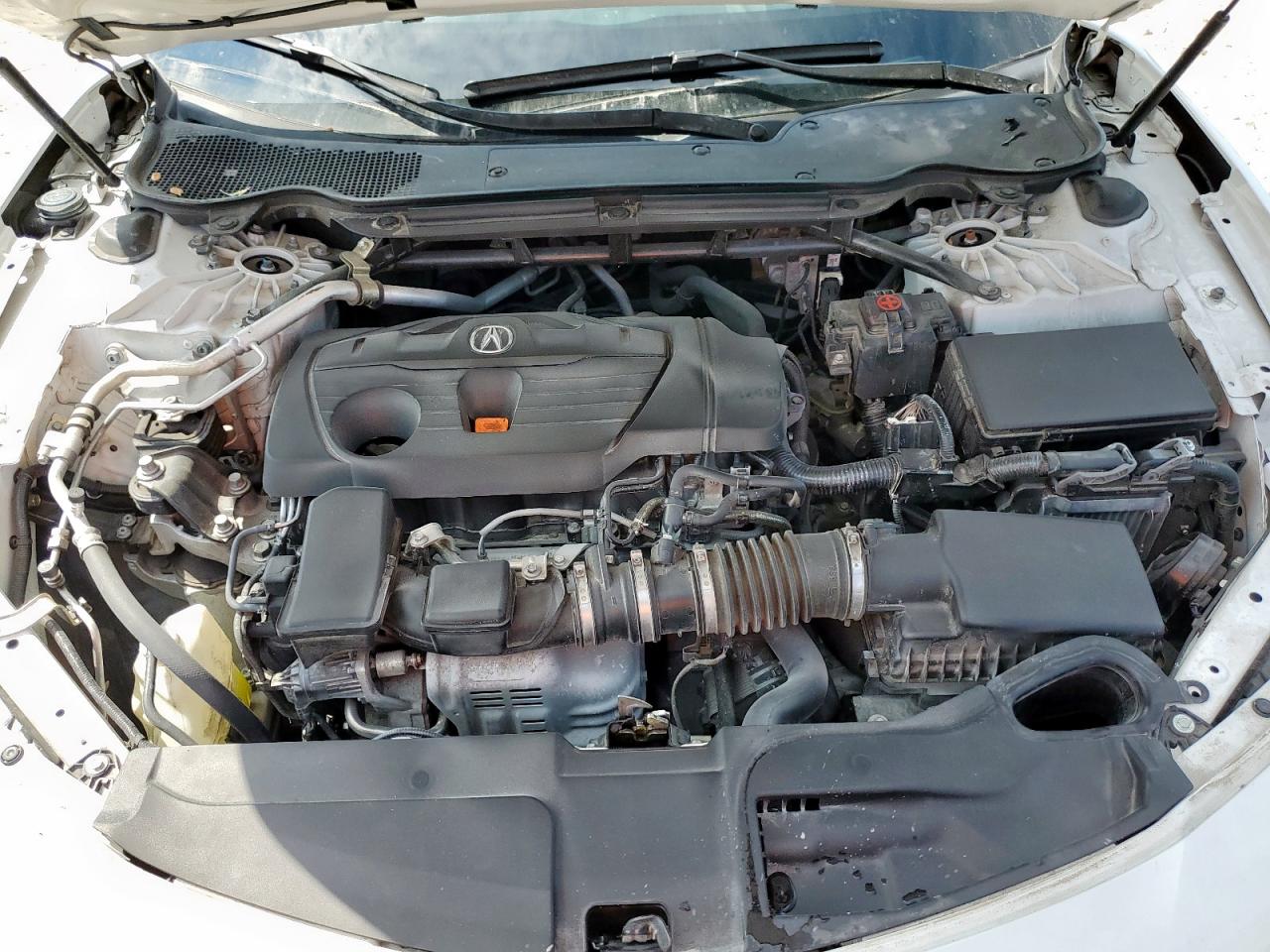 2021 Acura Tlx Technology White vin: 19UUB5F43MA009425